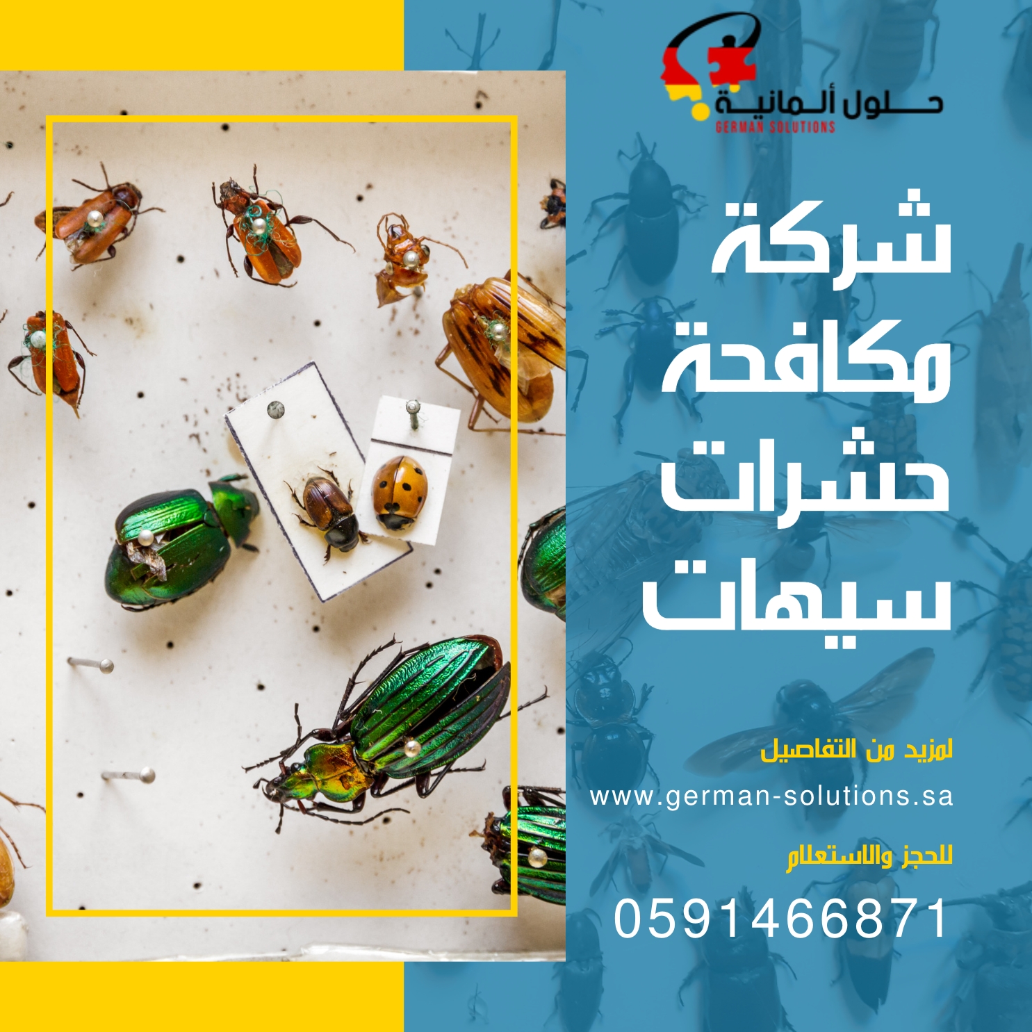 شركة مكافحة حشرات بسيهات